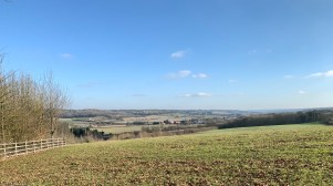 View NE from The Ridgway.jpeg